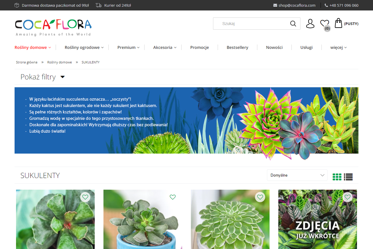 Najpiękniejsze sukulenty - dlaczego warto mieć je w domu?